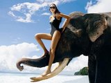 Kingfisher Swimsuit Special Calendar